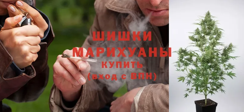 сколько стоит  Краснозаводск  Конопля THC 21% 